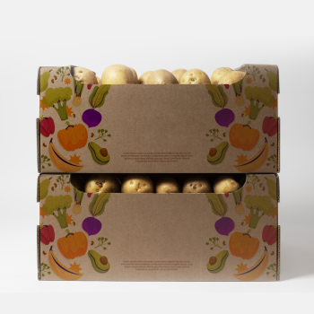 vegetable-and-fruit-box-img